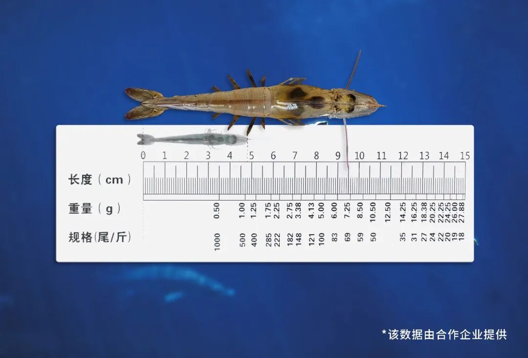 betway体育(必威)官方网站